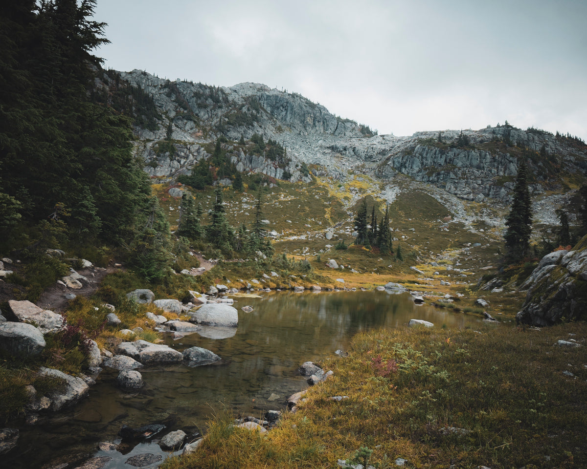 A still alpine pool lies among rocks, evergreen trees and autumn-colored grasses.